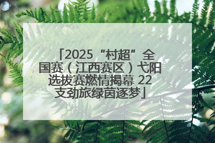 2025“村超”全国赛（江西赛区）弋阳选拔赛燃情揭幕 22支劲旅绿茵逐梦