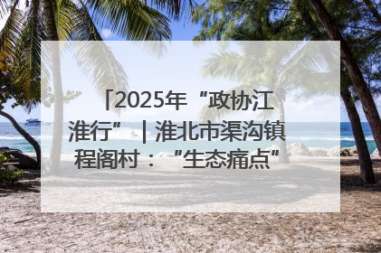 2025年“政协江淮行”｜淮北市渠沟镇程阁村：“生态痛点”变“生态景观”