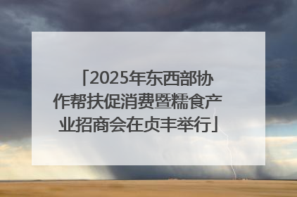 2025年东西部协作帮扶促消费暨糯食产业招商会在贞丰举行