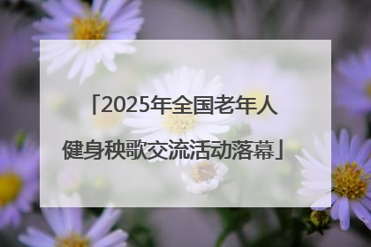 2025年全国老年人健身秧歌交流活动落幕