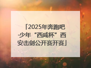 2025年奔跑吧·少年“西咸杯”西安击剑公开赛开赛