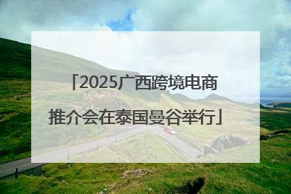 2025广西跨境电商推介会在泰国曼谷举行