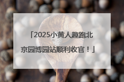 2025小黄人趣跑北京园博园站顺利收官！