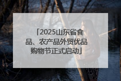 2025山东省食品、农产品外贸优品购物节正式启动