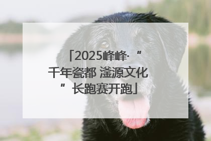 2025峰峰·“千年瓷都 滏源文化”长跑赛开跑