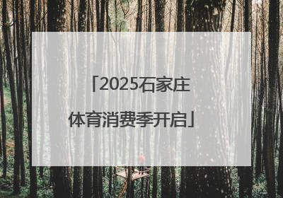 2025石家庄体育消费季开启