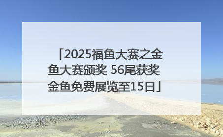 2025福鱼大赛之金鱼大赛颁奖 56尾获奖金鱼免费展览至15日