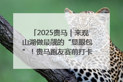 2025贵马｜来观山湖做最靓的“显眼包”！贵马跑友赛前打卡点燃奔跑热情