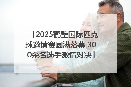 2025鹤壁国际匹克球邀请赛圆满落幕 300余名选手激情对决
