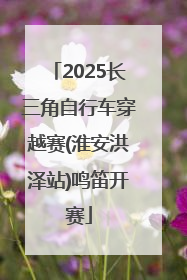 2025长三角自行车穿越赛(淮安洪泽站)鸣笛开赛