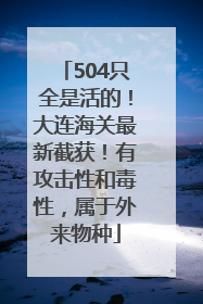 504只全是活的！大连海关最新截获！有攻击性和毒性，属于外来物种