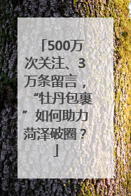 500万次关注、3万条留言，“牡丹包裹”如何助力菏泽破圈？