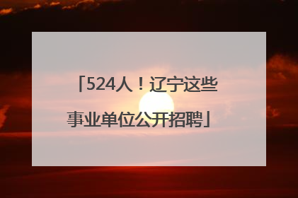 524人！辽宁这些事业单位公开招聘