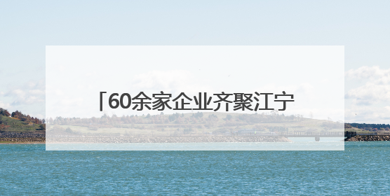 60余家企业齐聚江宁！“宁工品推”开启消费惠民与区域协作新篇