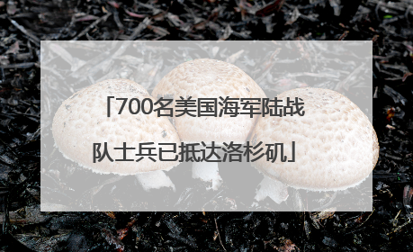 700名美国海军陆战队士兵已抵达洛杉矶
