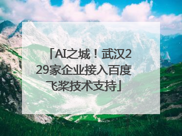 AI之城！武汉229家企业接入百度飞桨技术支持