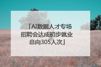 AI数据人才专场招聘会达成初步就业意向305人次