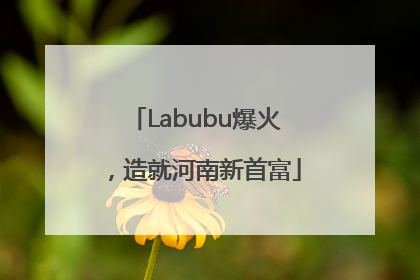 Labubu爆火，造就河南新首富