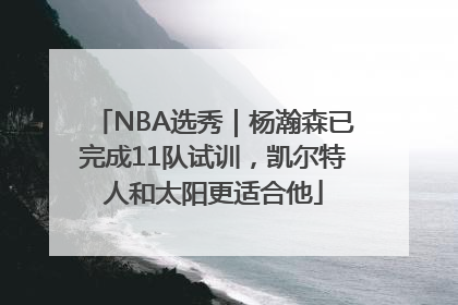 NBA选秀｜杨瀚森已完成11队试训，凯尔特人和太阳更适合他