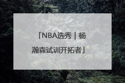 NBA选秀｜杨瀚森试训开拓者