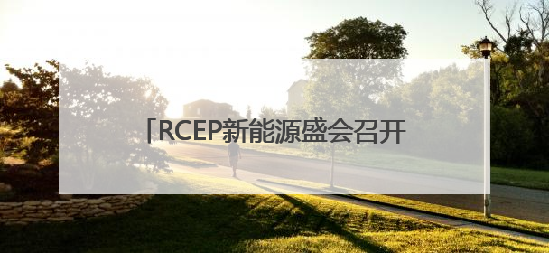 RCEP新能源盛会召开 共同发布《合肥倡议》