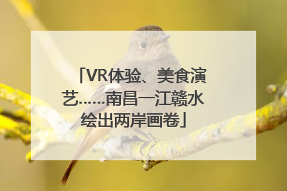 VR体验、美食演艺……南昌一江赣水绘出两岸画卷